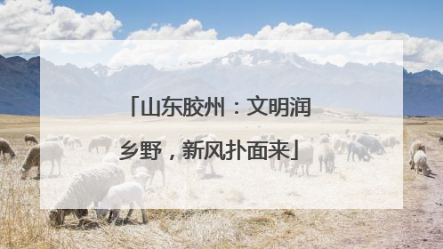 山东胶州：文明润乡野，新风扑面来