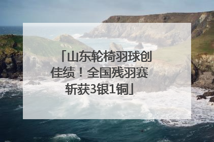 山东轮椅羽球创佳绩！全国残羽赛斩获3银1铜
