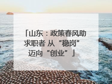 山东：政策春风助求职者 从“稳岗”迈向“创业”