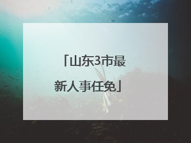 山东3市最新人事任免