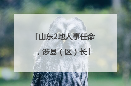 山东2地人事任命，涉县（区）长
