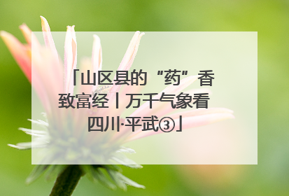 山区县的“药”香致富经丨万千气象看四川·平武③