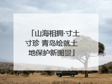 山海相拥·寸土寸珍 青岛绘就土地保护新图景
