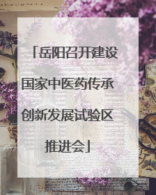 岳阳召开建设国家中医药传承创新发展试验区推进会