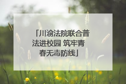 川渝法院联合普法进校园 筑牢青春无毒防线