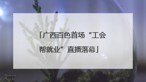 广西百色首场“工会帮就业”直播落幕