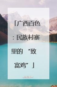广西百色：民族村寨里的 “致富鸡”