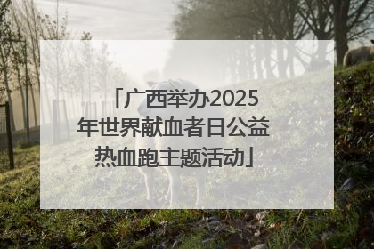 广西举办2025年世界献血者日公益热血跑主题活动