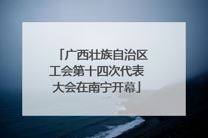 广西壮族自治区工会第十四次代表大会在南宁开幕