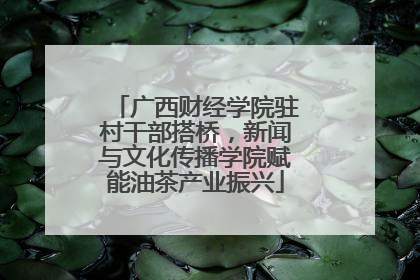 广西财经学院驻村干部搭桥，新闻与文化传播学院赋能油茶产业振兴