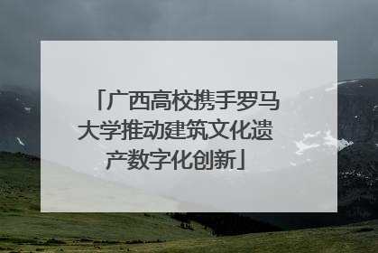 广西高校携手罗马大学推动建筑文化遗产数字化创新