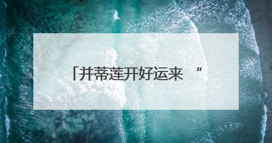 并蒂莲开好运来 “星空牡丹”绽异彩 洪湖公园“国际荷花派对”三天迎客六万