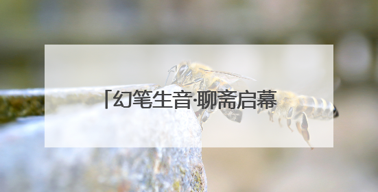 幻笔生音·聊斋启幕 音乐剧《聊斋》官宣启动仪式在淄川举办