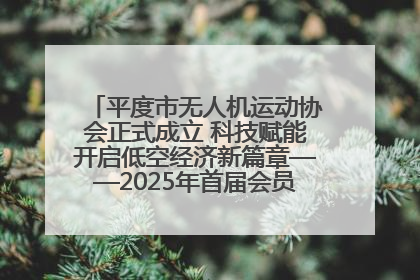 平度市无人机运动协会正式成立 科技赋能开启低空经济新篇章——2025年首届会员大会暨无人机应用发展论坛成功举办