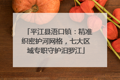 平江县浯口镇：精准织密护河网格，七大区域专职守护汨罗江