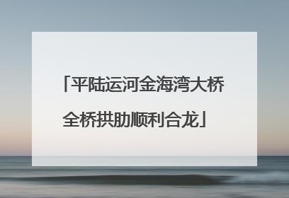 平陆运河金海湾大桥全桥拱肋顺利合龙
