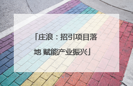 庄浪：招引项目落地 赋能产业振兴
