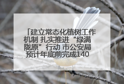 建立常态化植树工作机制 扎实推进“绿满陇原”行动 市公安局预计年底前完成1402亩绿化任务
