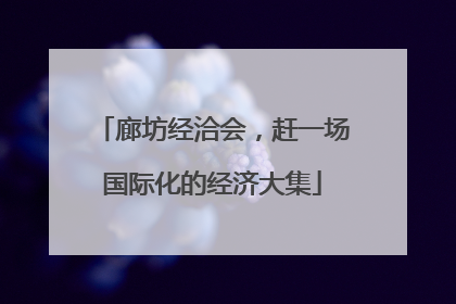 廊坊经洽会，赶一场国际化的经济大集