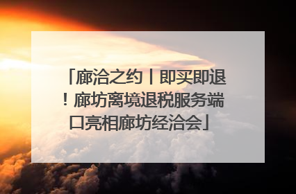 廊洽之约丨即买即退！廊坊离境退税服务端口亮相廊坊经洽会