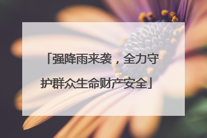 强降雨来袭，全力守护群众生命财产安全