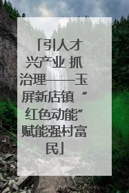 引人才 兴产业 抓治理——玉屏新店镇“红色动能”赋能强村富民