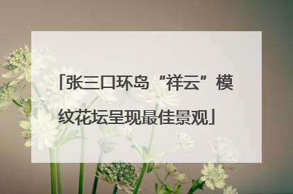 张三口环岛“祥云”模纹花坛呈现最佳景观
