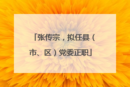 张传宗，拟任县（市、区）党委正职