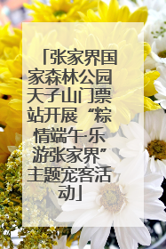 张家界国家森林公园天子山门票站开展“粽情端午·乐游张家界”主题宠客活动