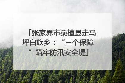 张家界市桑植县走马坪白族乡：“三个保障”筑牢防汛安全堤