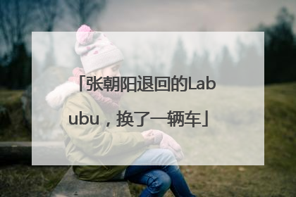 张朝阳退回的Labubu，换了一辆车