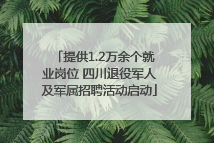 提供1.2万余个就业岗位 四川退役军人及军属招聘活动启动