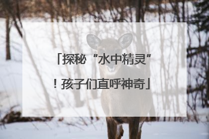 探秘“水中精灵”！孩子们直呼神奇