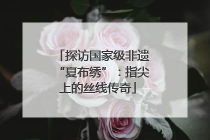 探访国家级非遗“夏布绣”：指尖上的丝线传奇