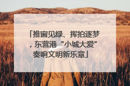 推窗见绿、挥拍逐梦，东营港“小城大爱”奏响文明新乐章
