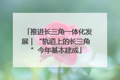 推进长三角一体化发展｜“轨道上的长三角”今年基本建成