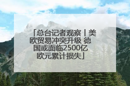 总台记者观察丨美欧贸易冲突升级 德国或面临2500亿欧元累计损失