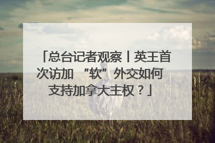 总台记者观察丨英王首次访加 “软”外交如何支持加拿大主权？