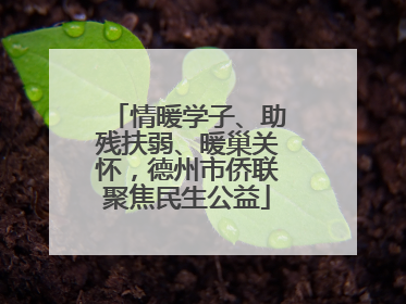 情暖学子、助残扶弱、暖巢关怀，德州市侨联聚焦民生公益