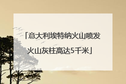 意大利埃特纳火山喷发 火山灰柱高达5千米
