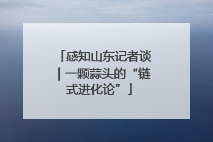 感知山东记者谈｜一颗蒜头的“链式进化论”