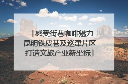 感受街巷咖啡魅力 昆明铁皮巷及巡津片区打造文旅产业新坐标