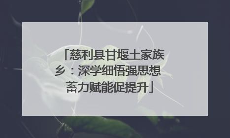 慈利县甘堰土家族乡：深学细悟强思想 蓄力赋能促提升
