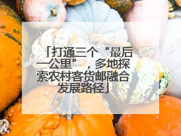 打通三个“最后一公里”，多地探索农村客货邮融合发展路径