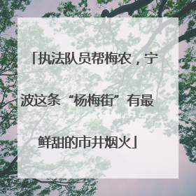 执法队员帮梅农，宁波这条“杨梅街”有最鲜甜的市井烟火