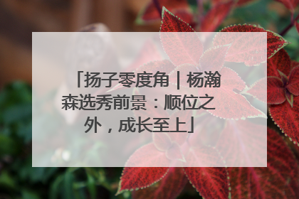 扬子零度角｜杨瀚森选秀前景：顺位之外，成长至上