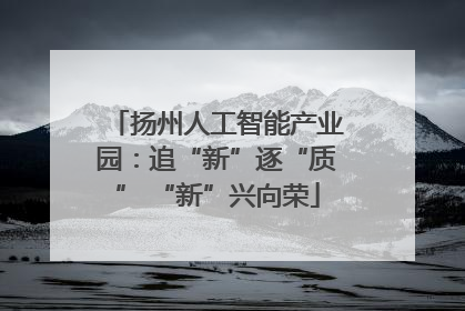 扬州人工智能产业园：追“新”逐“质” “新”兴向荣