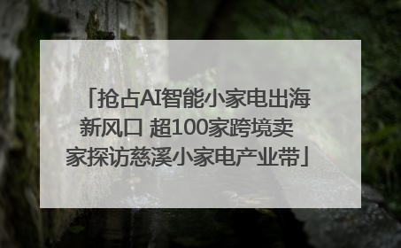 抢占AI智能小家电出海新风口 超100家跨境卖家探访慈溪小家电产业带