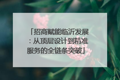 招商赋能临沂发展：从顶层设计到精准服务的全链条突破