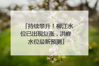 持续攀升！柳江水位已出现复涨，洪峰水位最新预测